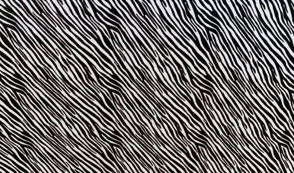 Zebra Topper With Earrings