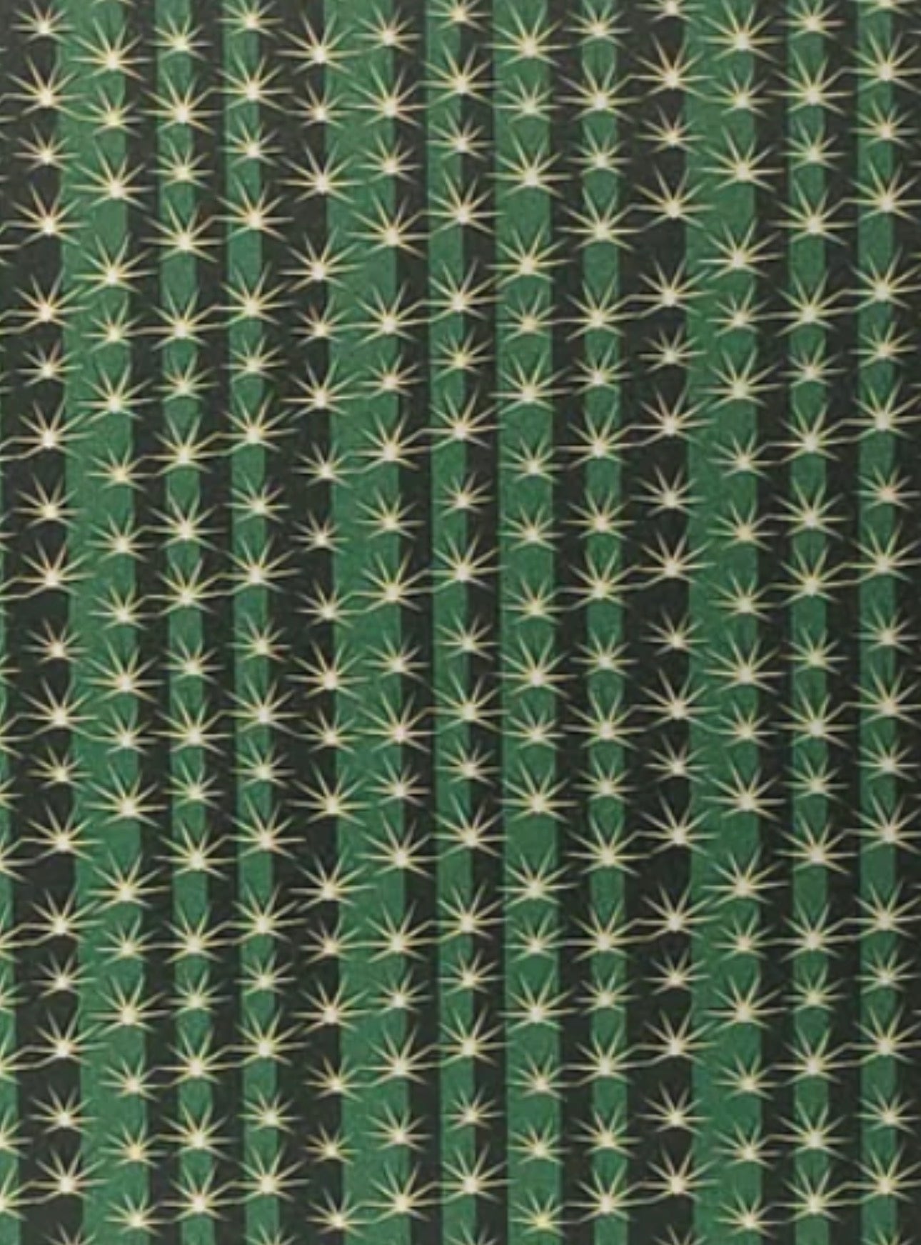 Cactus surface topper