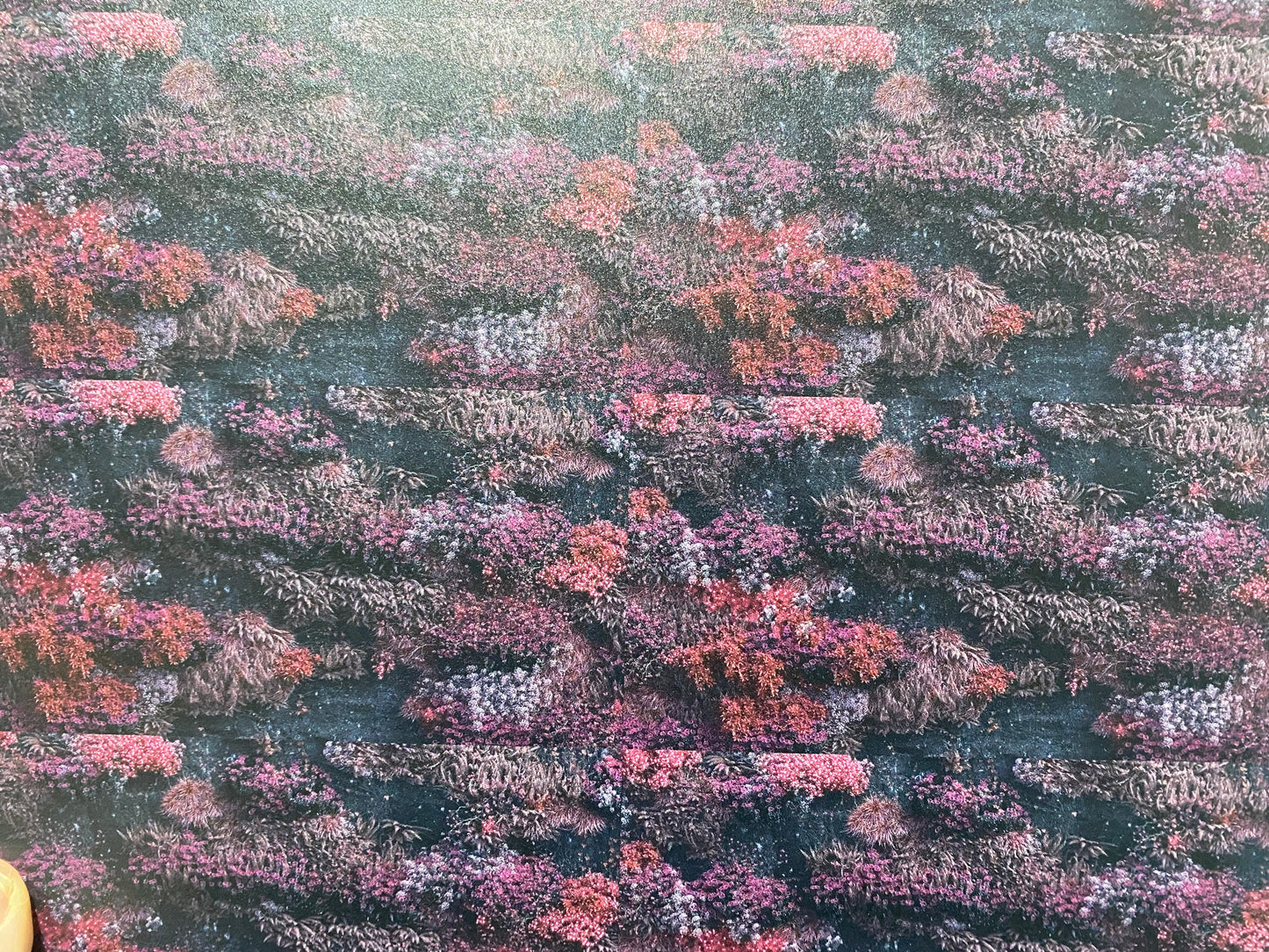 Pink flowers on stone topper