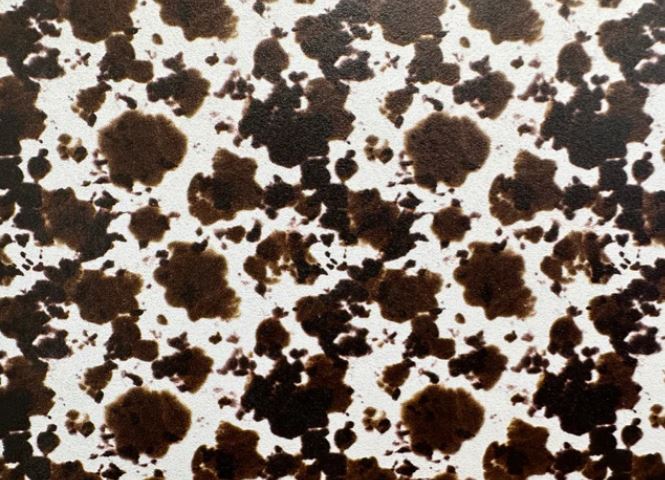 Cowhide Topper With Earrings