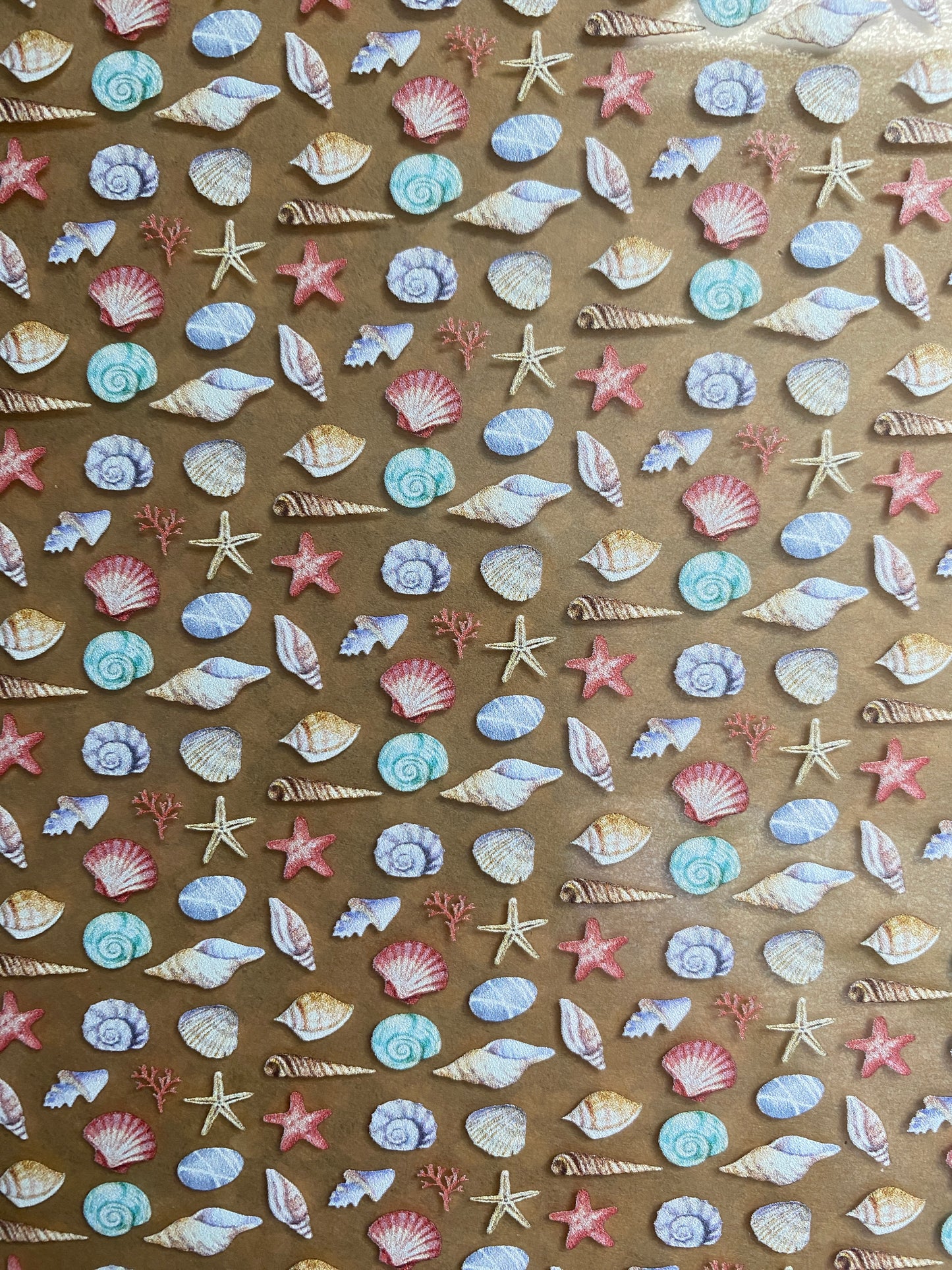 Seashell Earrings