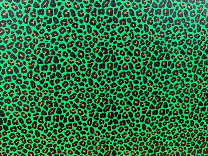 Green Leopard Print Topper