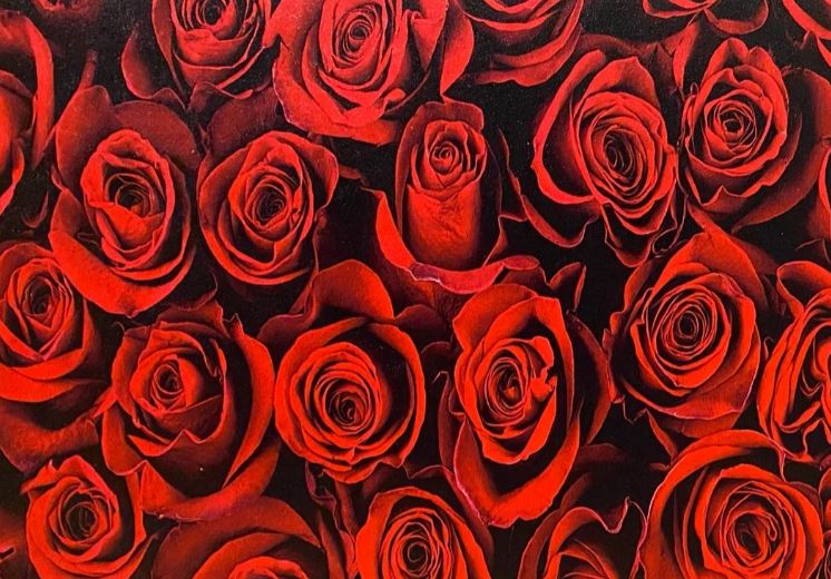 Rose Topper With Earrings