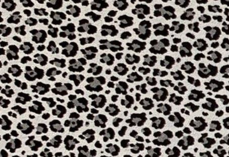 Snow Leopard Topper