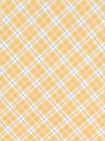 Yellow Plaid Topper With Earrings