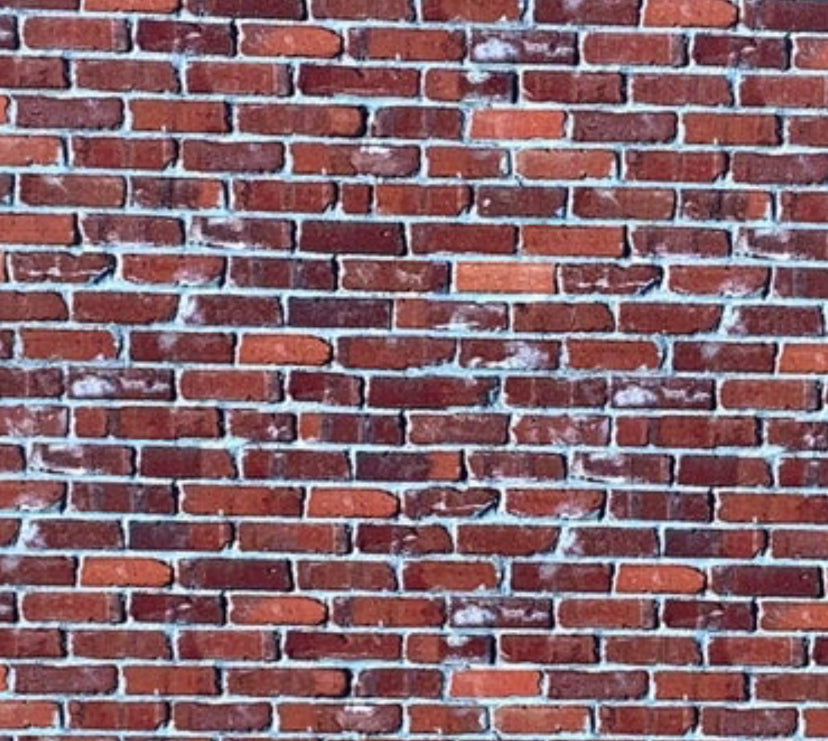 Shes a Brick House topper w earrings