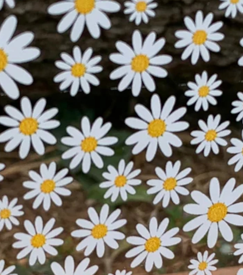 Daisies topper with earrings (clear)