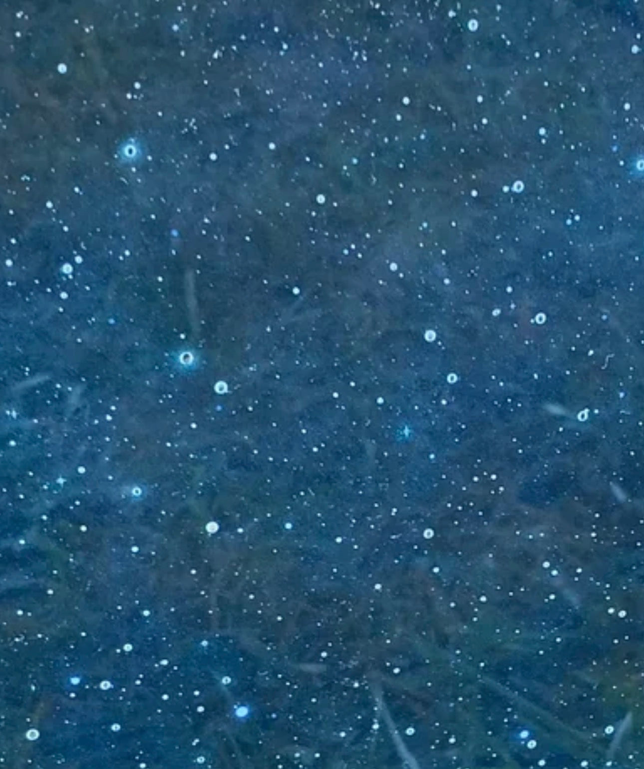 Scattered starry sky topper with earrings